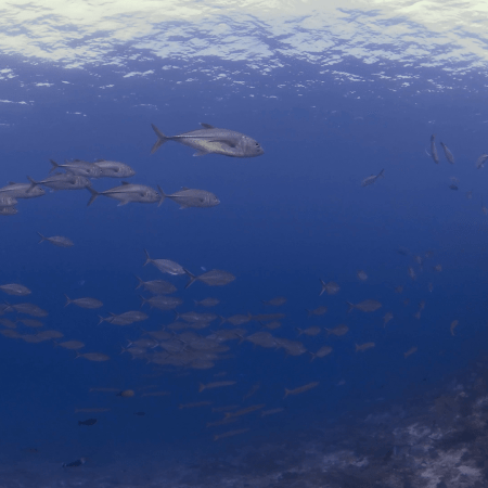 vid 20250903 110829 20251031094816 1.png