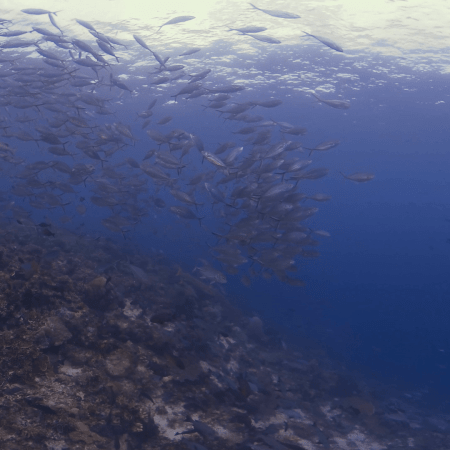 vid 20250903 111943 20251031094924 1.png