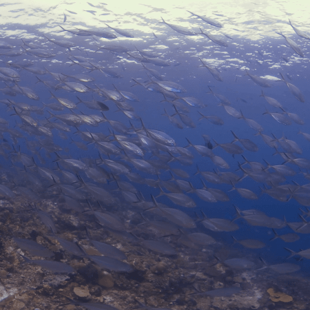 vid 20250903 111943 20251031094941 1.png