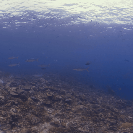 vid 20250903 111943 20251031094955 1.png