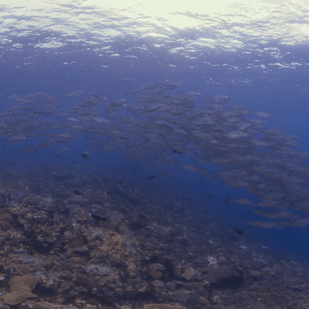 vid 20250903 111943 20251031095008 1.png