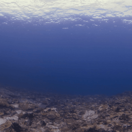 vid 20250903 112957 20251031095110 1.png