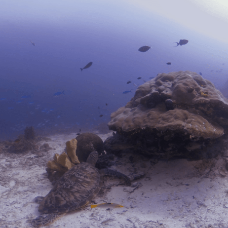 vid 20250903 145419 20260123014052 1.png