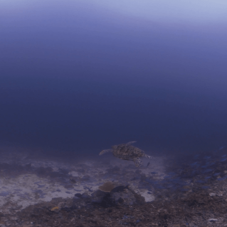 vid 20250903 145419 20260123014130 1.png