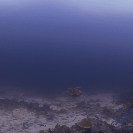 vid 20250903 145419 20260123014137 1.png