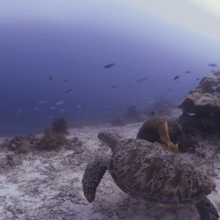 vid 20250903 145419 20260207122658 1.png