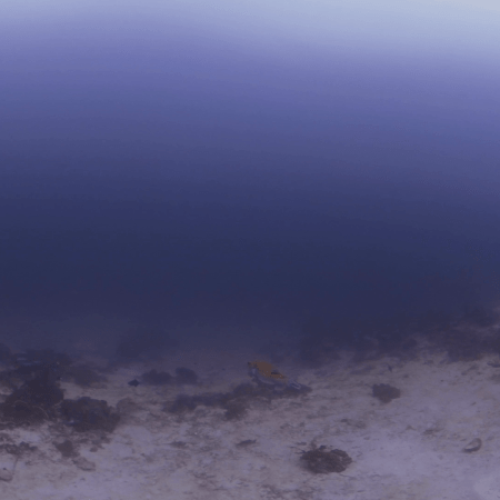 vid 20250903 150045 20260123014159 1.png