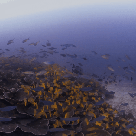 vid 20250903 150525 20260123014231 1.png