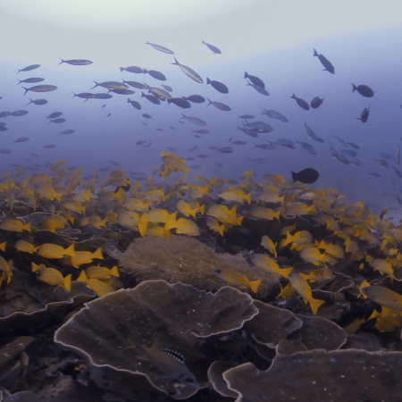 vid 20250903 150525 20260123014258 1.png