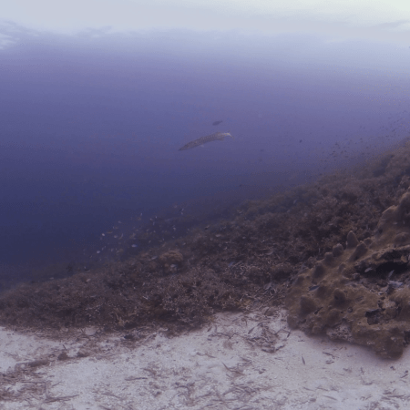 vid 20250903 151437 20260123014422 1.png