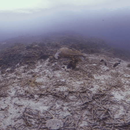 vid 20250903 152124 20260123014442 1.png