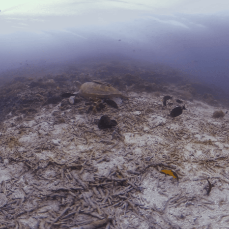 vid 20250903 152124 20260123014506 1.png