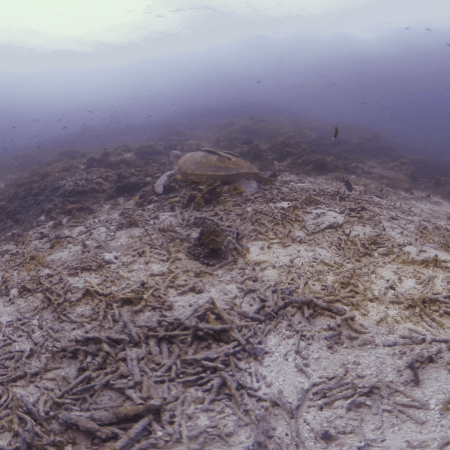 vid 20250903 152124 20260123014520 1.png