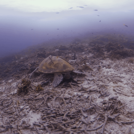 vid 20250903 152124 20260123014615 1.png