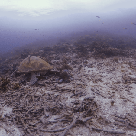 vid 20250903 152124 20260123014631 1.png