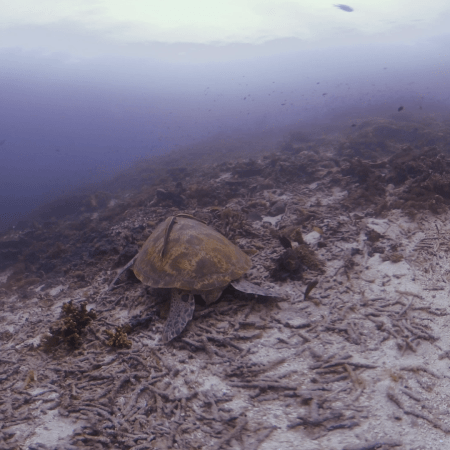 vid 20250903 152124 20260123014644 1.png