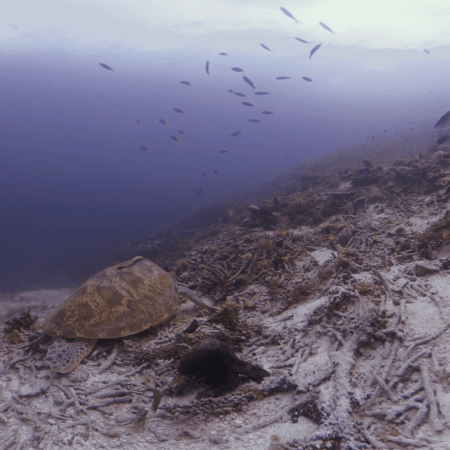 vid 20250903 152124 20260123014657 1.png