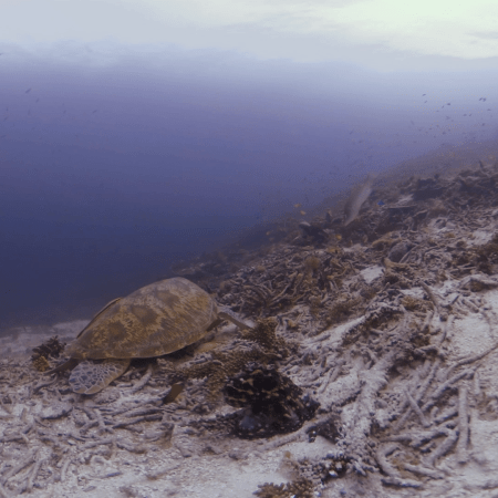 vid 20250903 152124 20260123014710 1.png