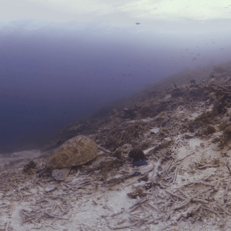 vid 20250903 152124 20260123014743 1.png