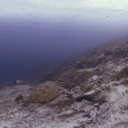 vid 20250903 152124 20260123014757 1.png