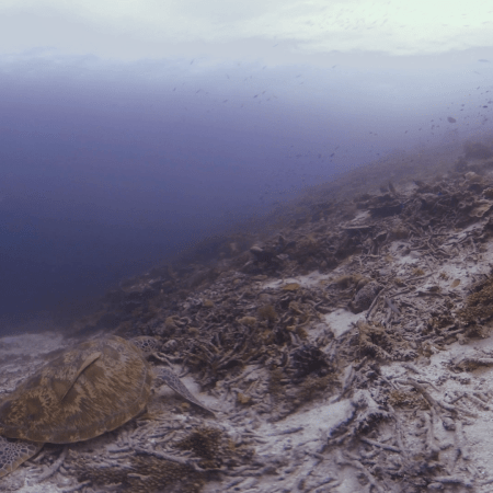 vid 20250903 152124 20260123014819 1.png