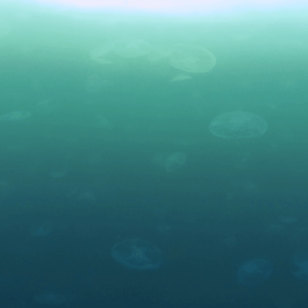 vid 20250907 162049 20251025103153 1.png