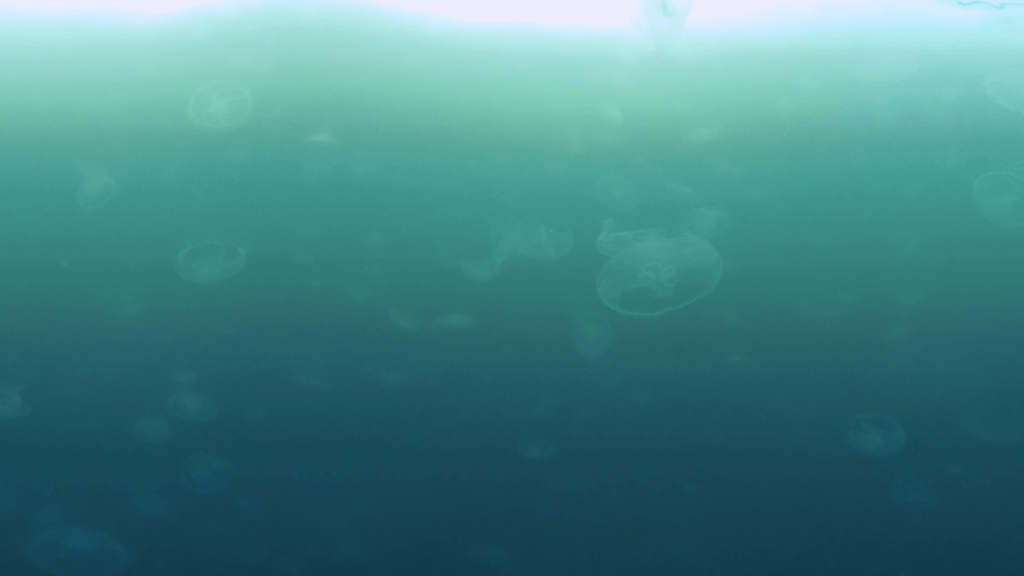 vid 20250907 162049 20251025103244 1.png