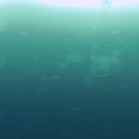 vid 20250907 162049 20251025103244 1.png