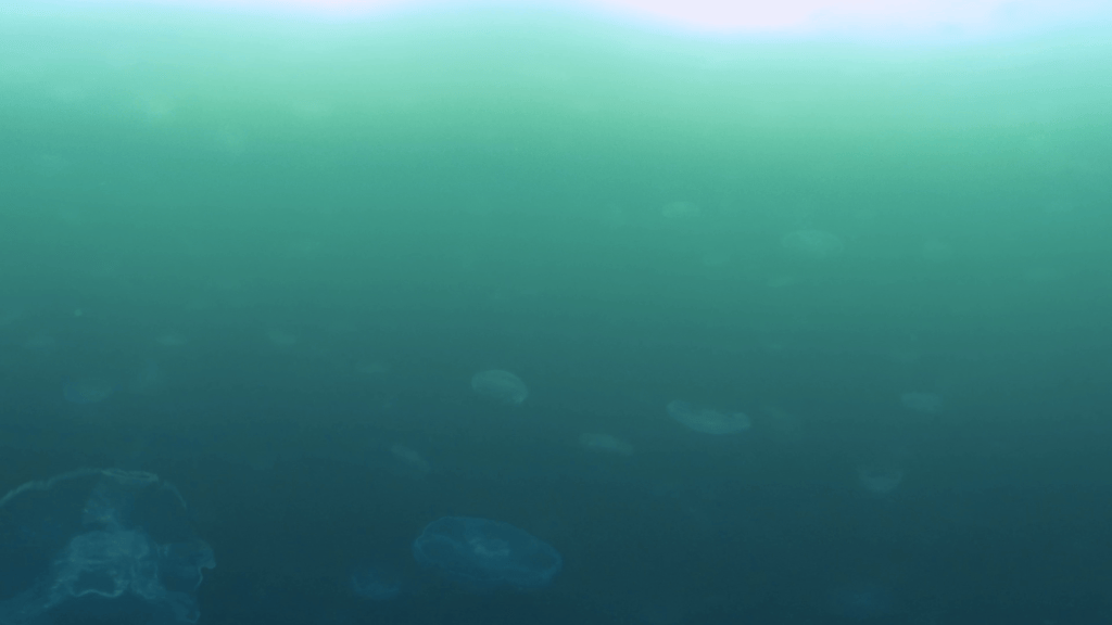 vid 20250907 162049 20251025103258 1.png
