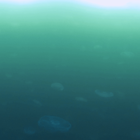 vid 20250907 162049 20251025103258 1.png