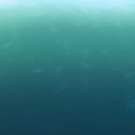 vid 20250907 162419 20251025103328 1.png