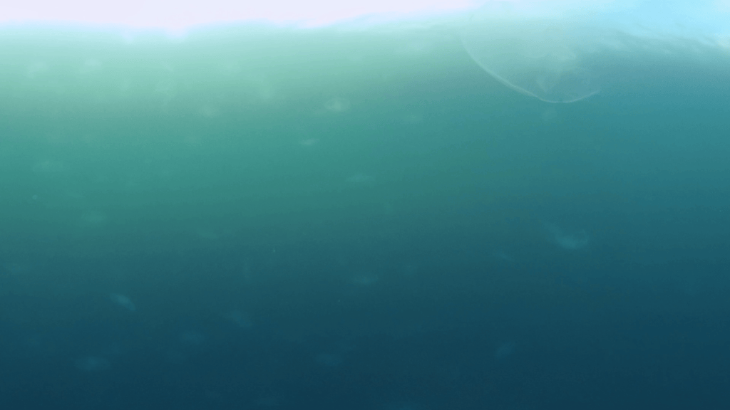 vid 20250907 162659 20251025103428 1.png