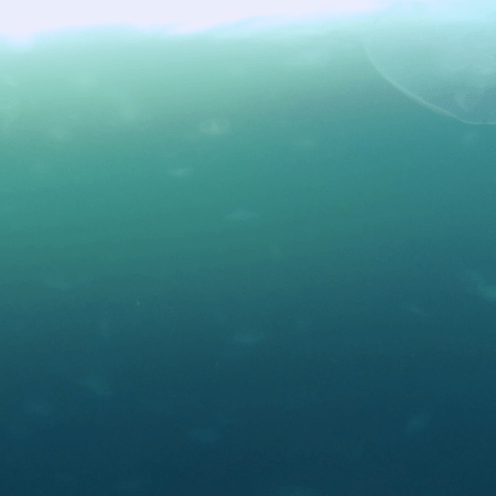 vid 20250907 162659 20251025103428 1.png