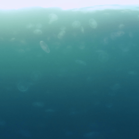 vid 20250907 162659 20251025103512 1.png