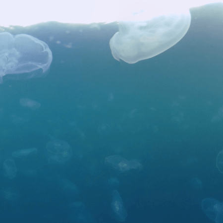 vid 20250907 163903 20251025103531 1.png