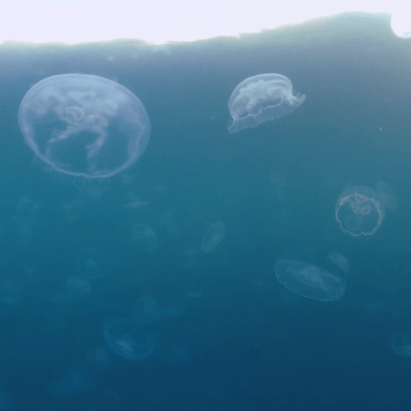 vid 20250907 163903 20251025103612 1.png