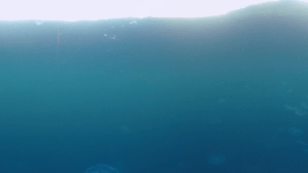 vid 20250907 164520 20251025103711 1.png