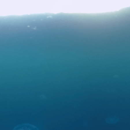 vid 20250907 164520 20251025103711 1.png