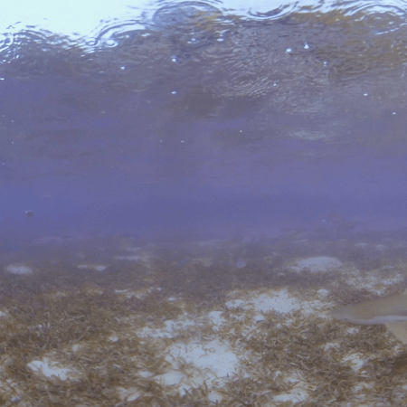 vid 20250908 084950 20260308135935 1.png