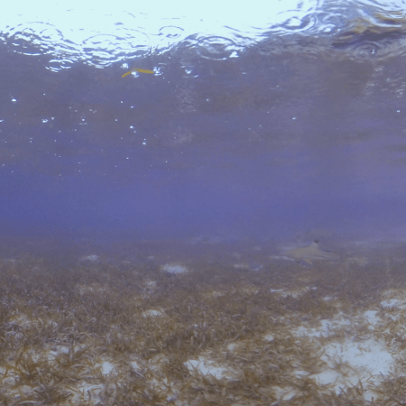 vid 20250908 084950 20260308140015 1.png