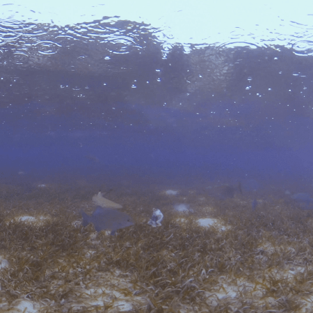 vid 20250908 084950 20260308140042 1.png