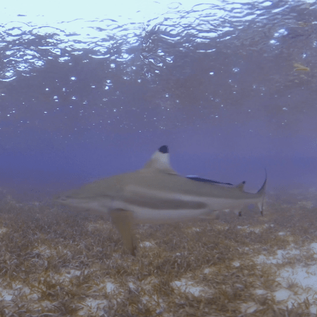 vid 20250908 084950 20260308140102 1.png