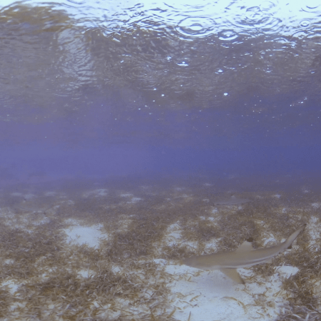 vid 20250908 084950 20260308140138 1.png