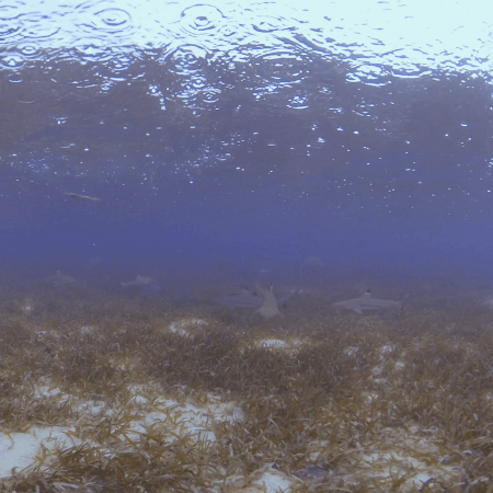 vid 20250908 084950 20260308140157 1.png