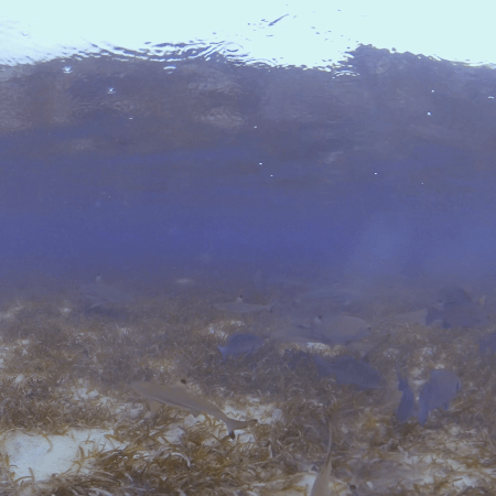 vid 20250908 084950 20260308140240 1.png