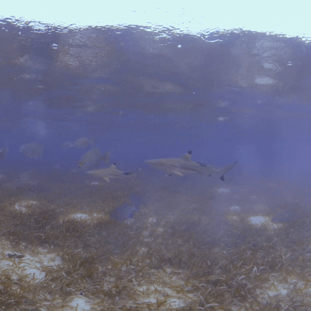 vid 20250908 084950 20260308140302 1.png