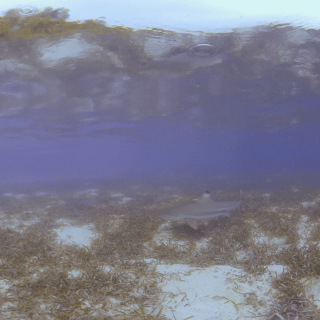 vid 20250908 084950 20260308140410 1.png