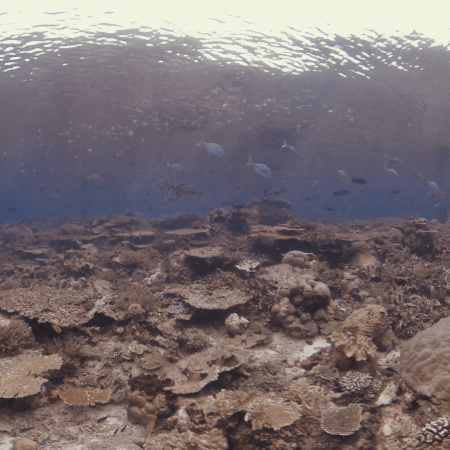 vid 20250908 102450 20251223101607 1.png