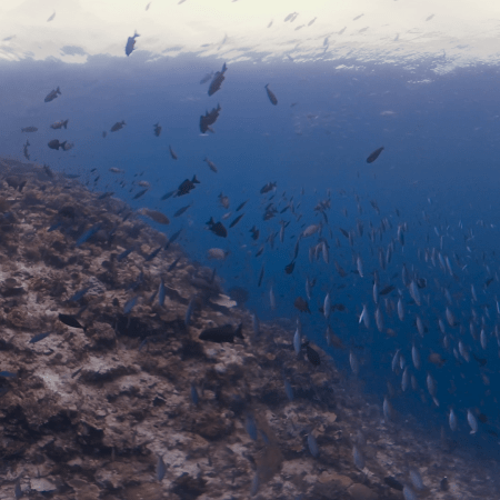 vid 20250908 102927 20251223101626 1.png