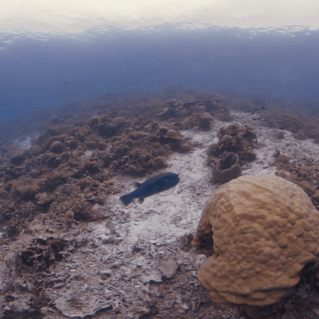 vid 20250908 104523 20251223101728 1.png